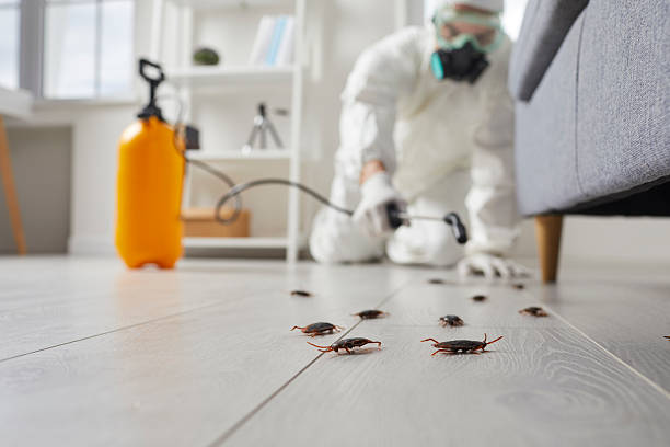 Trusted Fumigation Services service in Riverview Park, PA - Nex Pest Control
