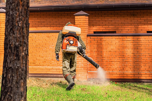 Trusted Ant Control service in Riverview Park, PA - Nex Pest Control